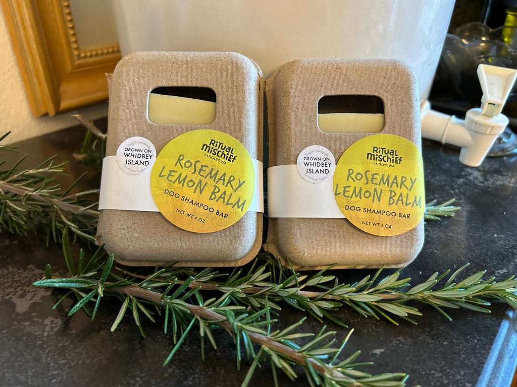 Rosemary Lemon Balm dog shampoo bar Ritual Mischief
