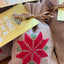 Rituals of Joy & Liberation celebration and drawer sachets