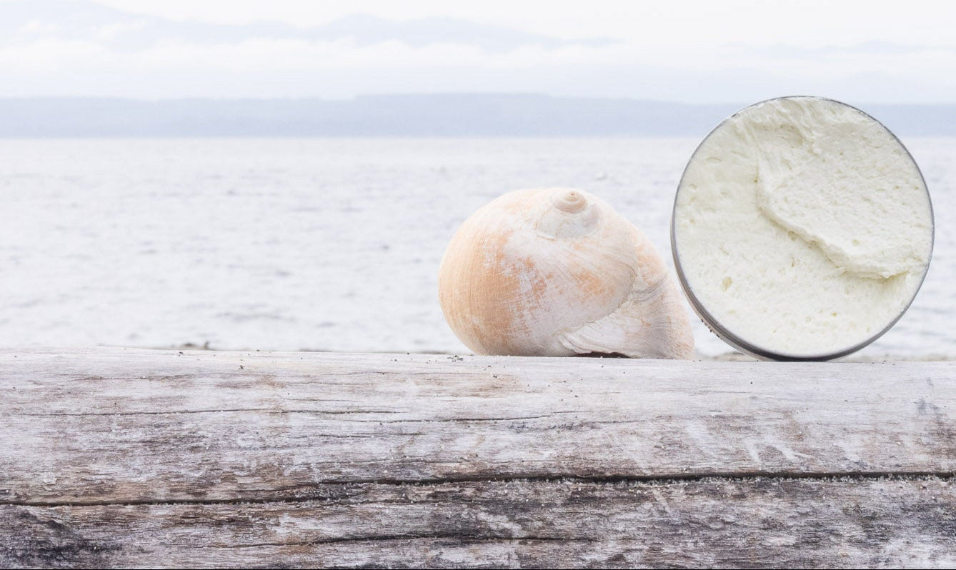 Close-up of a shell and an open tin of body butter on a driftwood log with the Salish Sea in the background