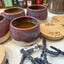 Rest Your Feet nighttime foot balm in handmade ceramic jar