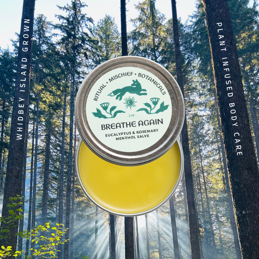 herbal salve tin labeled 'Breathe Again' in a forest setting