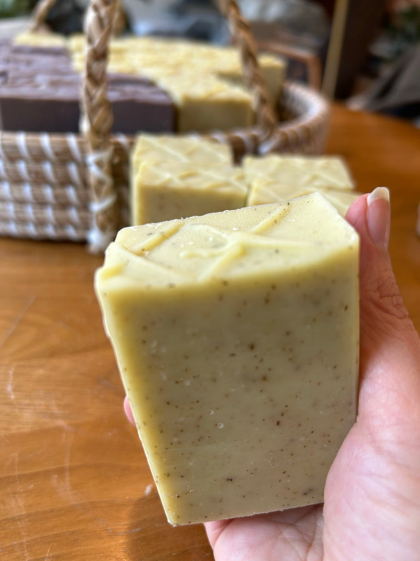Forest Bathing bar soap