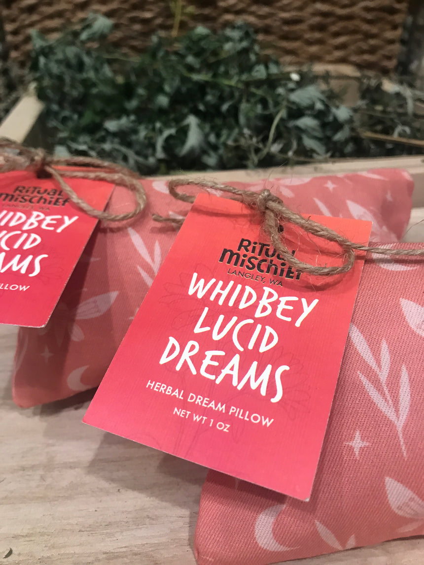 Whidbey Lucid Dreams dream pillow